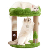 Woochpet small cat tree with perch in green offers elevated lounging and scratching.