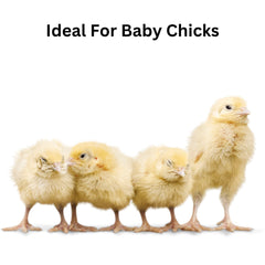 Wood Smith USA 8qt pine bedding packaged ready for quick setup