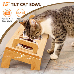 Woodever dishwasher-safe-cat-bowl enables quick, easy cleaning after meals.