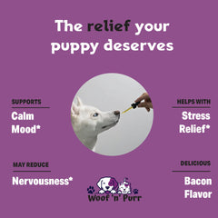Woof n Purr Valerian Root dog relaxation scene shows content, at-ease pet after a dose.