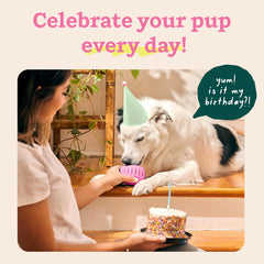 WOOF Party Pupsicle dog-enjoyment captures 30+ minutes of engaging playtime.