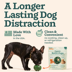 WOOF Pupsicle Refill Pop being enjoyed by a dog for long-lasting playtime