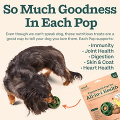 WOOF Pupsicle Refill Pops dog and toy interaction with extended chew time