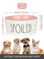 WoofinPets ceramic dog bowl pink close-up highlighting decorative pattern and easy-clean surface.