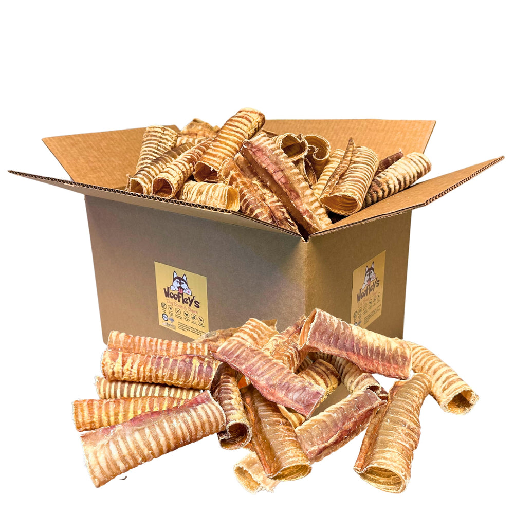 Woofley's Beef Trachea 6-Inch Pack setup showing a natural dog chew for dental health.
