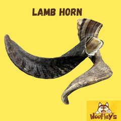 Woofley's Lamb Horn chew close-up texture highlights rugged, long-lasting chewing.