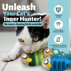 Woolbuddy catnip-free felted-wool fish toy set for safe, scent-free amusement.