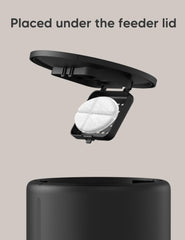 WOPET desiccant bag in FT50D feeder demonstrates compatibility with automatic pet feeders