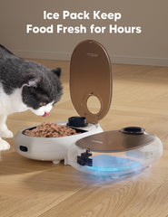 WOPET removable feeding tray for easy cleaning after meals.