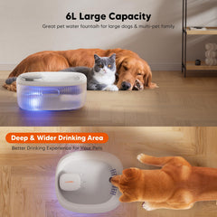 WOPET visual water level window for easy top-ups.