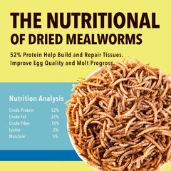 WormsFarm dried mealworms for chickens—easy snack served in a bowl.