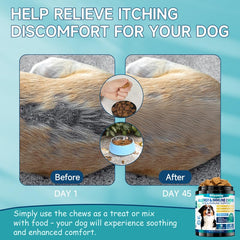 Woyamay 200 dog allergy chews packaging—clear value for long-term seasonal relief.