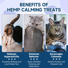 Woyamay cat calming treats for separation anxiety use in comfortable home