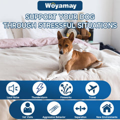 Woyamay chicken-flavor soft chews entice picky eaters while promoting relaxation.