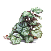 Woyrise reptile artificial plant close-up shows silk leaves for natural camouflage and cover.