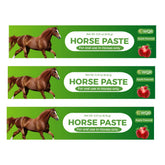 WQR Horse Paste apple-flavored syringe shows easy dosing and palatable administration