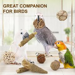 WQY GroceryShop 7Pcs Bird Toy packaging image shows eco-friendly dyes and setup