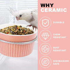 WQY GroceryShop sturdy bracket design supports reliable bowl position.