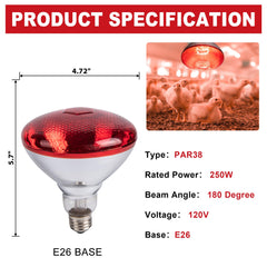 Wesome Lighting 4-pack 250W heat lamps providing reliable brood warmth