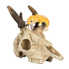 WTSOH elk skull decoration in gecko tank adds desert realism and safe habitat detail.