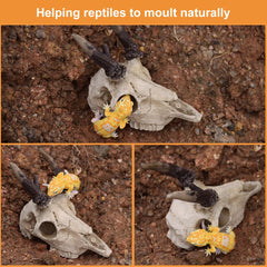 WTSOH resin materials provide an odor-free, safe decor option for various water conditions.