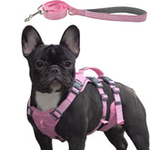 Wuffley escape-proof dog harness pink XS front view emphasizing secure straps for confident walks.