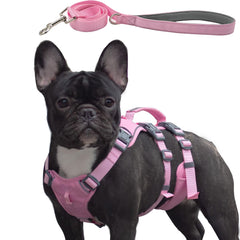 Wuffley escape-proof dog harness pink XS front view emphasizing secure straps for confident walks.