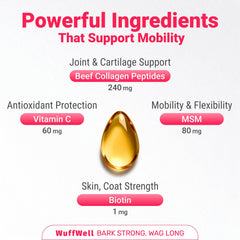 WuffWell dog collagen coat shine demonstrates healthier fur and improved shine