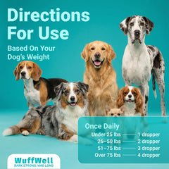 WuffWell dog joint-support-drops illustrate mobility-friendly daily use