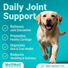 WuffWell liquid collagen for dogs dropper dispense highlights simple daily administration
