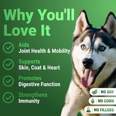 WuffWell Super Greens dog meal mix enables seamless addition to meals for daily wellness.