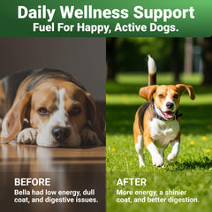 WuffWell Super Greens dog spoon dispense highlights mess-free feeding and consistent dosing.