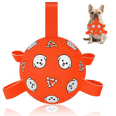 WYNTRIUM dog soccer ball front view—durable exterior for fetch.