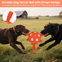 WYNTRIUM dog soccer ball with strap and prints for engaging indoor play.