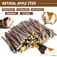 A small animal chews WYOMER apple sticks for daily enrichment.