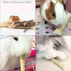 WYOMER durable-chew-toy-rodents image suggests long-lasting play and gnawing.