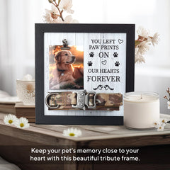 X-partner Memorial Frame displays photo and collar for a touching keepsake