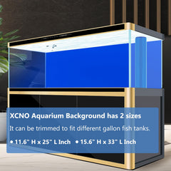 XCNO blue black backdrop placed in-tank creates lifelike depth and ambiance