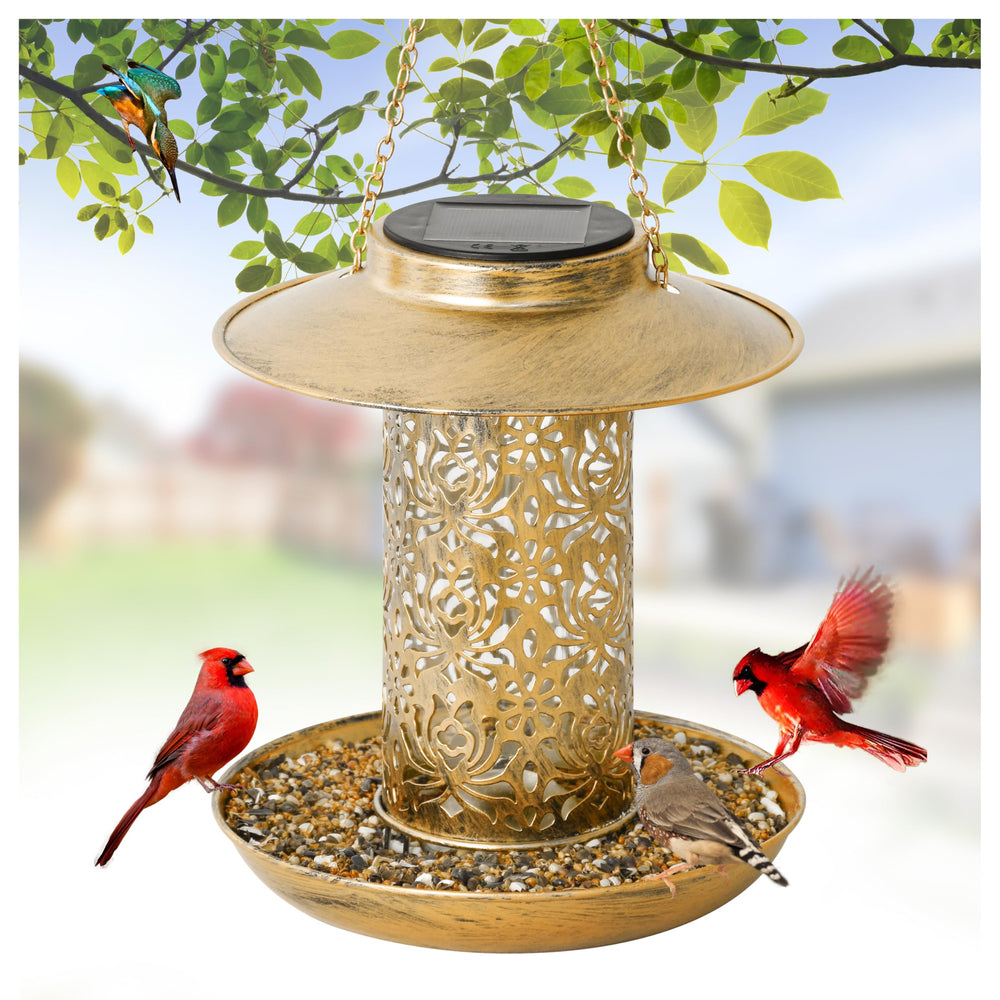 XDW-GIFTS bronze bird feeder front view for garden decor and wildlife watching.