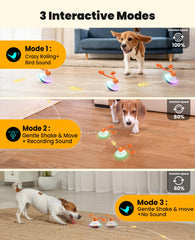 Xeuch dog ball with rope for interactive tug-and-play sessions
