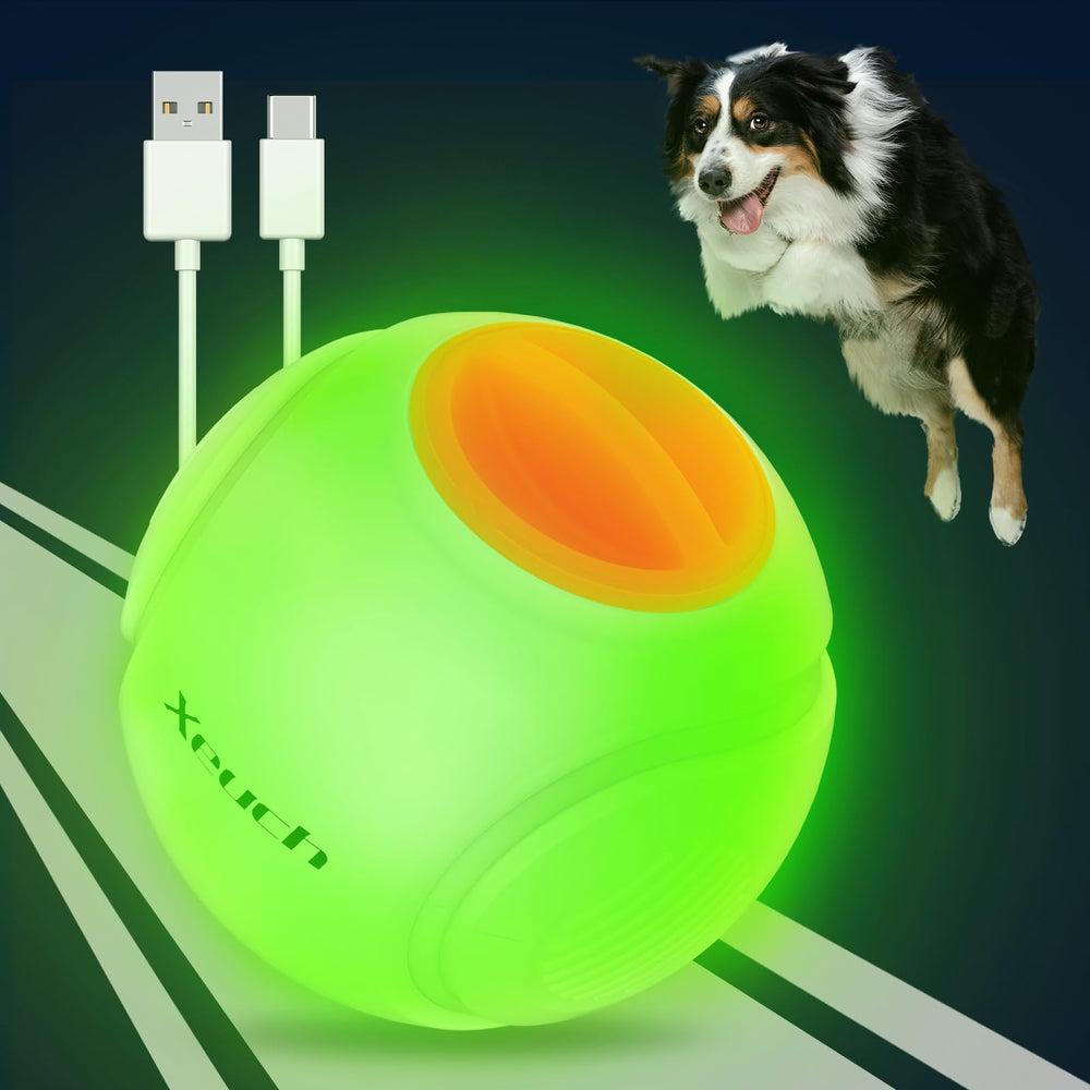 Xeuch LED dog ball orange soft rubber showcases safe chew toy for fetch with small to medium dogs.