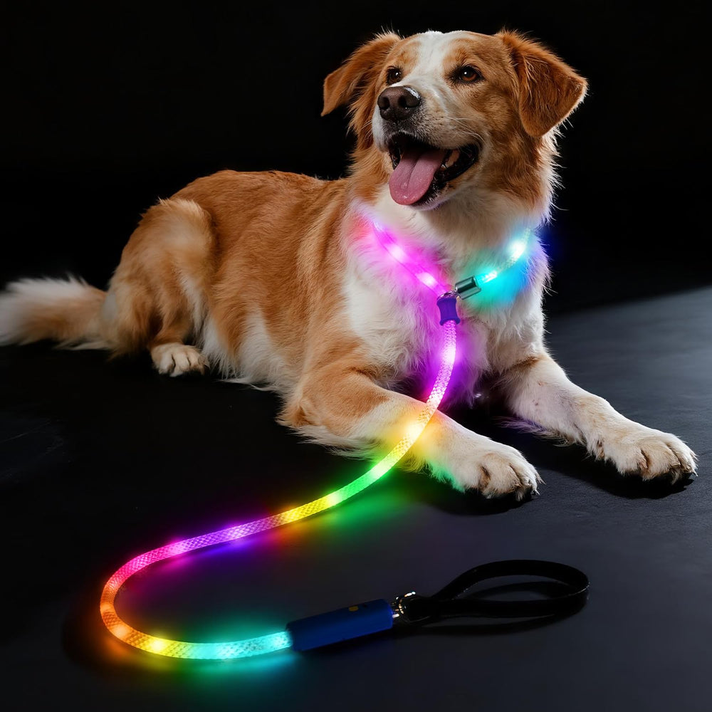Xeuch light-up dog leash mode switch demonstrates customizable illumination for safer night walks.