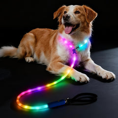 Xeuch light-up dog leash mode switch demonstrates customizable illumination for safer night walks.