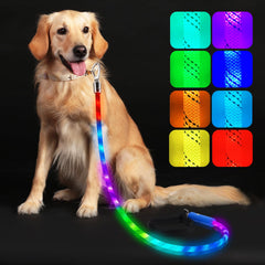 Xeuch light-up leash with soft padded handles for comfortable night walks