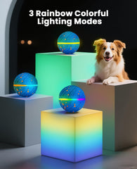 Xeuch RGB light system captivating pups during night fetch for extended play