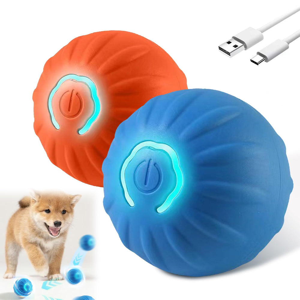 Xihongshi Shaky Ball LED light draws dogs into engaging indoor play.