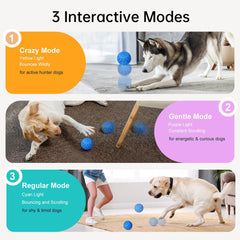 XINGZUAN interactive dog ball bouncing action demonstrates continuous movement.