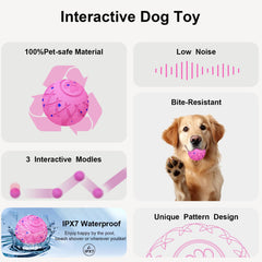 XINGZUAN interactive dog ball pink bounce action for active exercise.