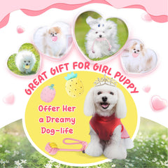 XIUGOAL rope tug toy close-up for interactive play and bonding.