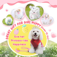 XIUGOAL teething treat ball for puppies promotes problem-solving during play